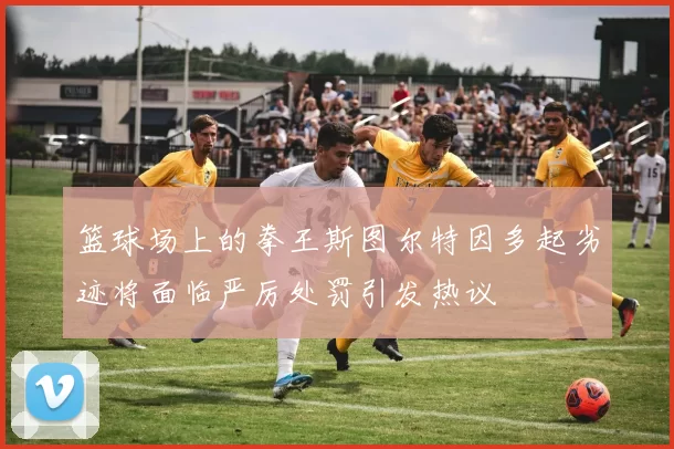 篮球场上的拳王斯图尔特因多起劣迹将面临严厉处罚引发热议