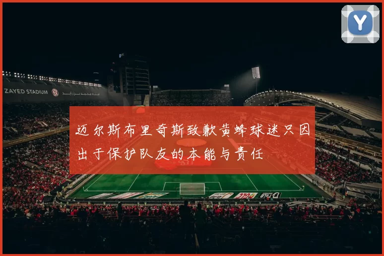 迈尔斯布里奇斯致歉黄蜂球迷只因出于保护队友的本能与责任